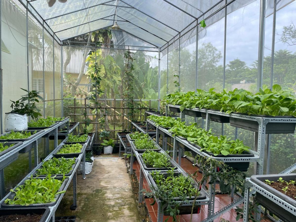 Tropical Garden Phu Quoc Lejlighed Eksteriør billede