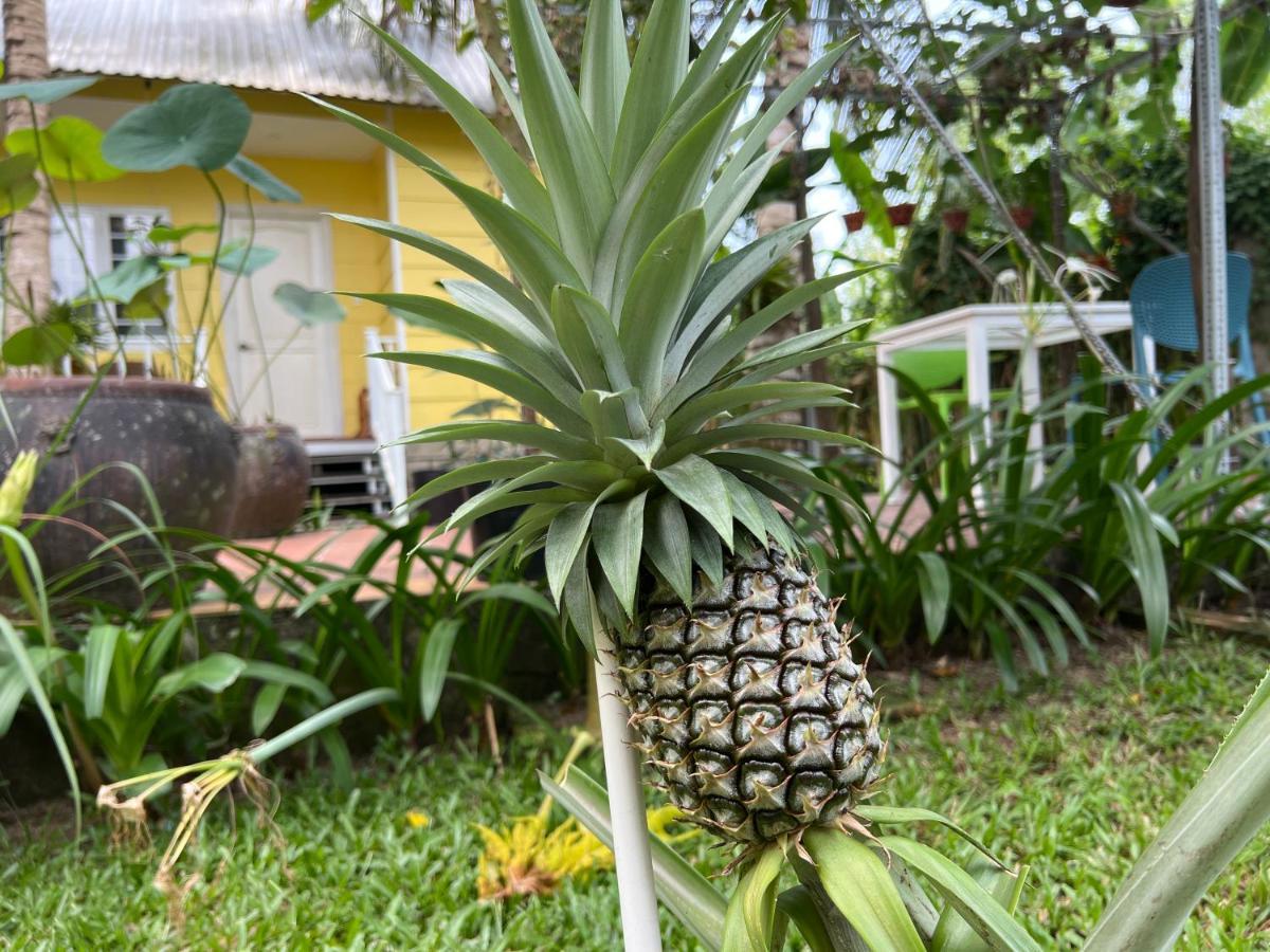 Tropical Garden Phu Quoc Lejlighed Eksteriør billede
