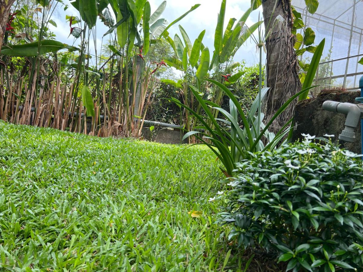 Tropical Garden Phu Quoc Lejlighed Eksteriør billede