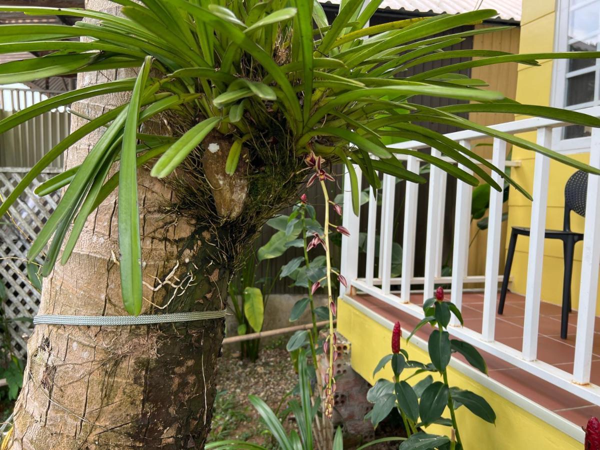 Tropical Garden Phu Quoc Lejlighed Eksteriør billede